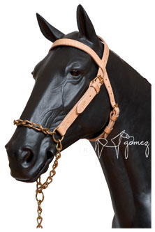 Cabezada para caballos