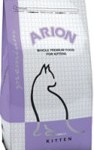 arion_kitten