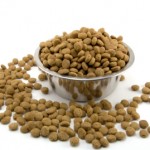 dog food in a bowl on a white background