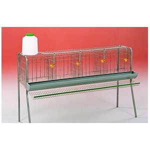 bateria 16 aves