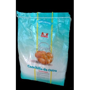 Conchilla de Ostras