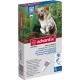 Advantix 4 Pipetas 1,5kg a 4kg