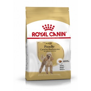 BHN Caniche Ad 1,5kg