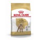 BHN Caniche Ad 1,5kg
