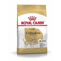 BHN Chihuahua Ad 1,5kg
