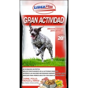 Lider Plan Gran Actividad