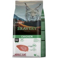 Bravery Gato 7