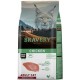 Bravery Perro