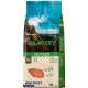 Bravery Perro