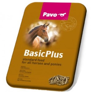 Pavo Basic Plus