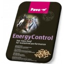 Pavo Energy Control